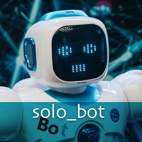 SOLO bot